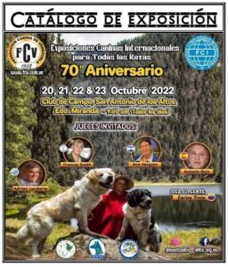 Lee más sobre el artículo Catalogo Digital Exposiciones Caninas Internacionales FCV – Octubre 2022.