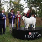 Exposiciones Caninas para todas las Raza 2 y 3 de Septiembre 2023