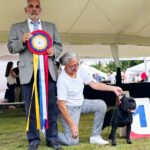 Exposiciones Caninas para todas las Raza 2 y 3 de Septiembre 2023