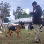 Exposiciones Caninas para todas las Raza 2 y 3 de Septiembre 2023