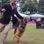 Exposiciones Caninas para todas las Raza 2 y 3 de Septiembre 2023