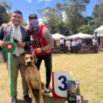 Exposiciones Caninas para todas las Raza 2 y 3 de Septiembre 2023