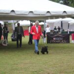 Exposiciones Caninas para todas las Raza 2 y 3 de Septiembre 2023