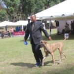 Exposiciones Caninas para todas las Raza 2 y 3 de Septiembre 2023