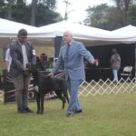 Exposiciones Caninas para todas las Raza 2 y 3 de Septiembre 2023