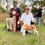 Exposiciones Caninas para todas las Raza 2 y 3 de Septiembre 2023