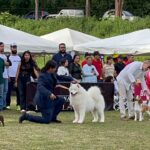 Exposiciones Caninas para todas las Raza 2 y 3 de Septiembre 2023