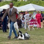 Exposiciones Caninas para todas las Raza 2 y 3 de Septiembre 2023