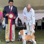 Exposiciones Caninas para todas las Raza 2 y 3 de Septiembre 2023