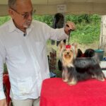Exposiciones Caninas para todas las Raza 2 y 3 de Septiembre 2023