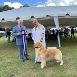 Exposiciones Caninas para todas las Raza 2 y 3 de Septiembre 2023