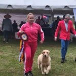 Exposiciones Caninas para todas las Raza 2 y 3 de Septiembre 2023