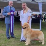 Exposiciones Caninas para todas las Raza 2 y 3 de Septiembre 2023