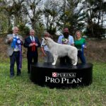 Exposiciones Caninas para todas las Raza 2 y 3 de Septiembre 2023