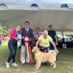 Exposiciones Caninas para todas las Raza 2 y 3 de Septiembre 2023