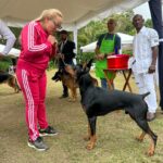 Exposiciones Caninas para todas las Raza 2 y 3 de Septiembre 2023