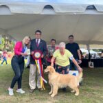 Exposiciones Caninas para todas las Raza 2 y 3 de Septiembre 2023