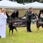 Exposiciones Caninas para todas las Raza 2 y 3 de Septiembre 2023