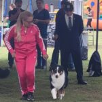 Exposiciones Caninas para todas las Raza 2 y 3 de Septiembre 2023