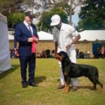 Exposiciones Caninas para todas las Raza 2 y 3 de Septiembre 2023