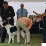Exposiciones Caninas para todas las Raza 2 y 3 de Septiembre 2023