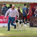 Exposiciones Caninas para todas las Raza 2 y 3 de Septiembre 2023