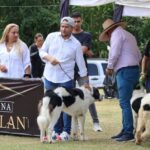 Exposiciones Caninas para todas las Raza 2 y 3 de Septiembre 2023