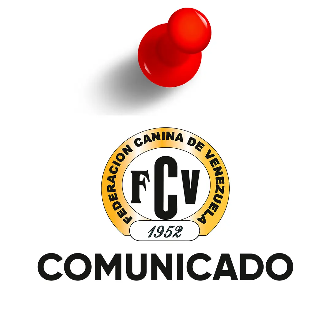 Lee más sobre el artículo Asamblea General Ordinaria de Afiliados