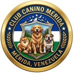 club merida