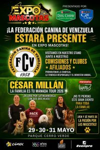 Lee más sobre el artículo ¡La pasión por la cinofília se cita en la Expo Mascotas! 🐾🇻🇪