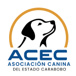 LOGO ACEC_Mesa de trabajo 1